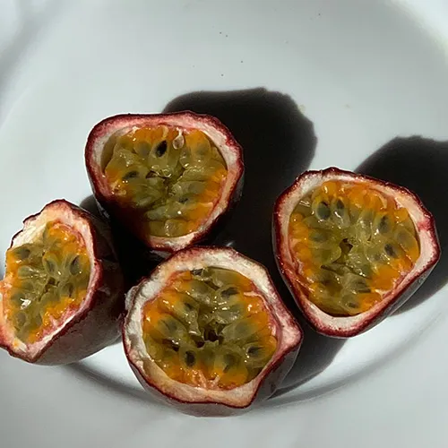 Середні ноти Zoologist Lovebird